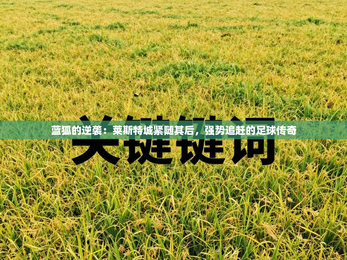 蓝狐的逆袭：莱斯特城紧随其后，强势追赶的足球传奇  第1张